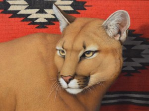 Palmore-Mountain-Lion