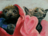 Two Bats in a Blanket