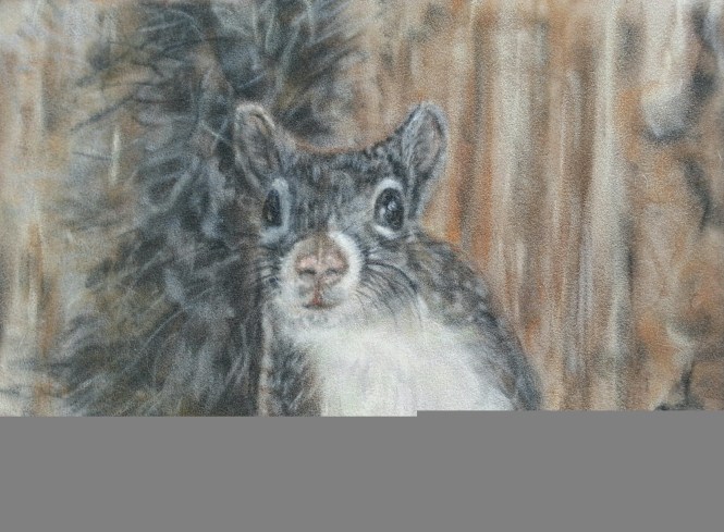 20141003_180845-1.jpg image