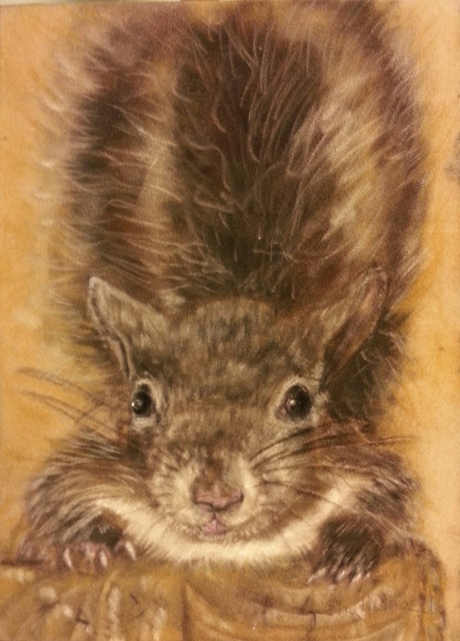 20141008_192707-1.jpg image