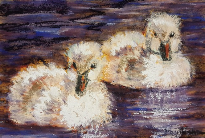 wp-1473543625455 image