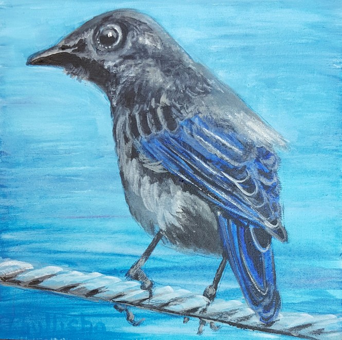 wp-1476734390587 image